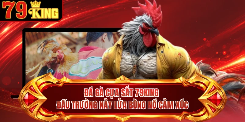 Đá Gà Cựa Sắt 79KING - Đấu Trường Nảy Lửa Bùng Nổ Cảm Xúc